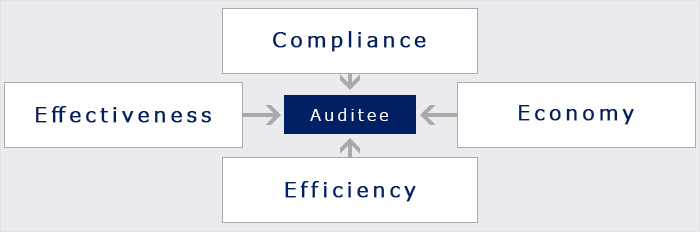 In performing audits, Audit and Inspection Commissioners examine an auditee from the standpoint of 